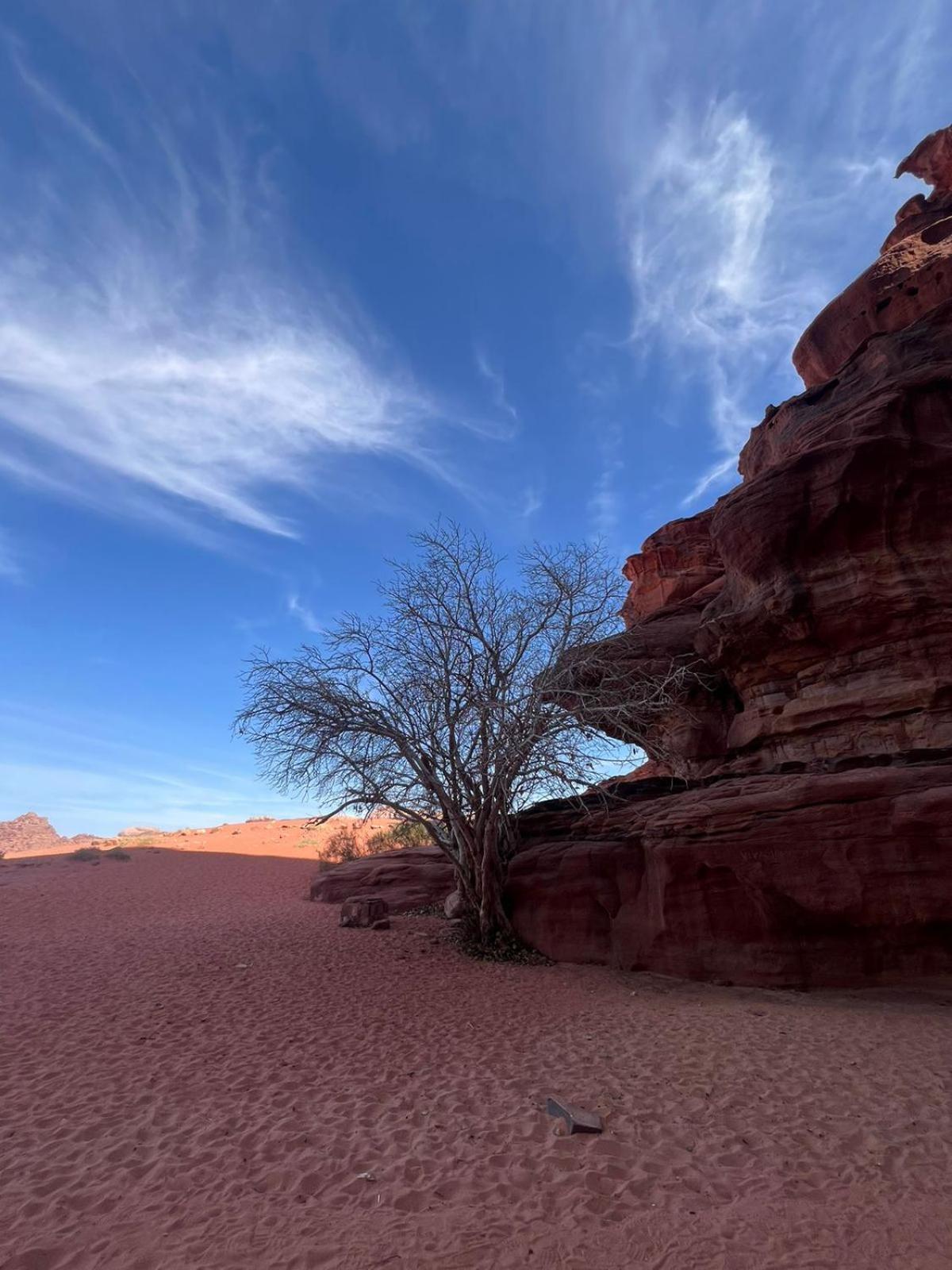 Nayef wadi Rum Camp Bagian luar foto